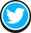 A white Twitter logo on a blue button.